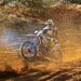 バイクに虫アタック！汚れは洗車でキレイになる？対策できる事って？